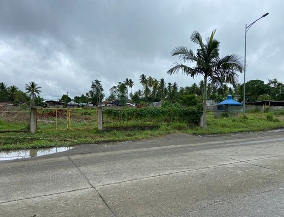 Tagum City Prime Lot (6069sqm) Along Busy Road and Commercial District