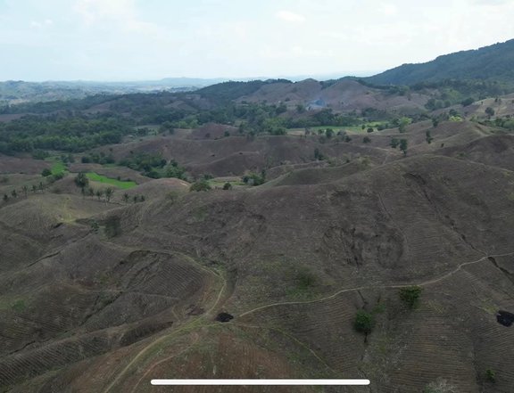 49 hectares farm with clean title ideal for solar farming, agregates, Agri business