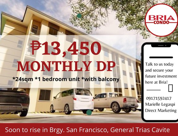 24sqm, 1 br - Bria Condo Gentri