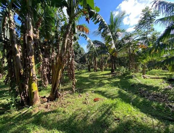 250 sqm Residential Farm For Sale in Banay Banay Amadeo Cavite