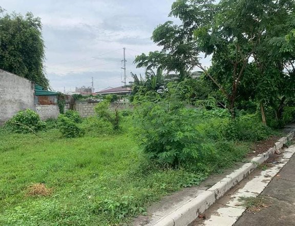 AFFORDABLE RENT TO OWN Residential Lot For Sale in Bacoor Cavite