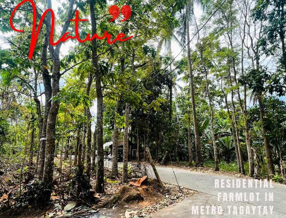 2,500 per sqm Affordable Farm Lot for sale in Bailen Cavite