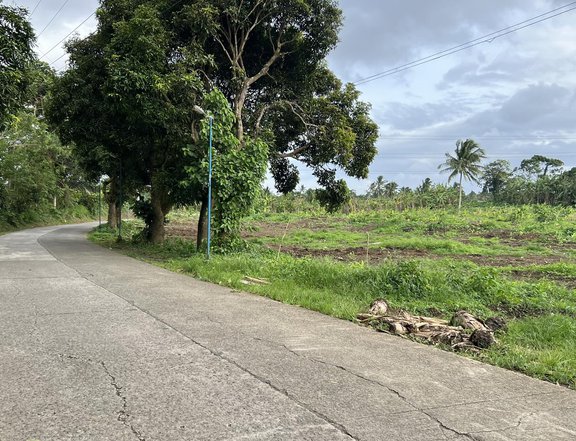 Transfer of Title Included Farm Lot for sale in Alfonso near Tagaytay