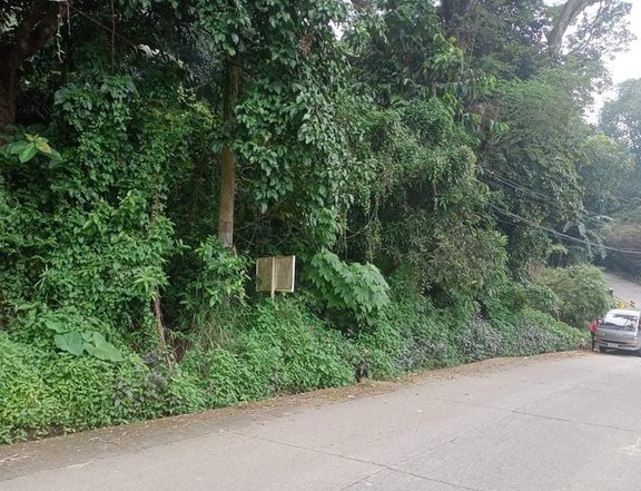 1203 sqm Residential Farm For Sale By Owner in Antipolo Rizal