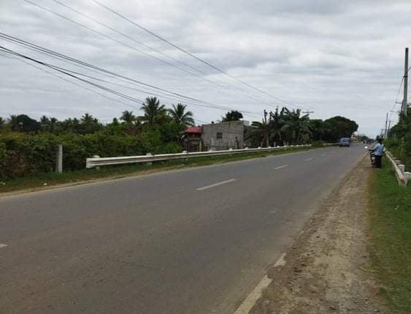 2.44 hectares Commercial Lot For Sale in Roxas Isabela