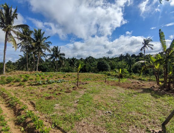 Residential Farm For Sale in Amadeo Cavite