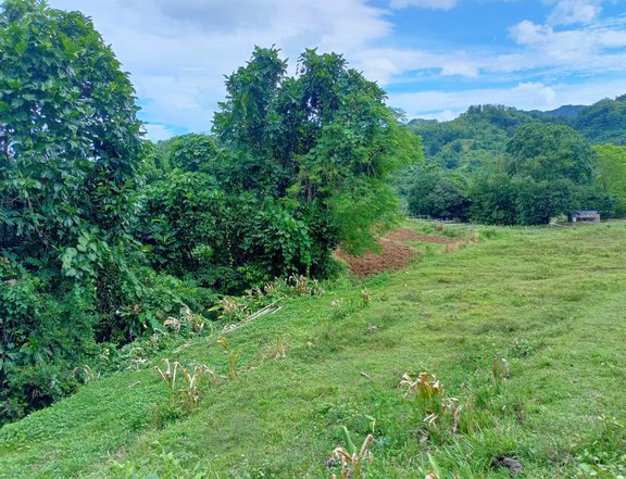 2,000 sqm Residential Farm For Sale in Hamtic Antique