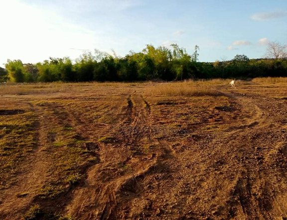 1.2 hectares Agricultural Farm For Sale in Pililla Rizal