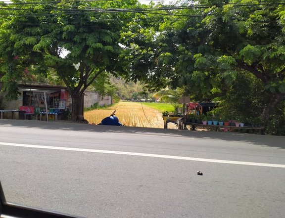 3,000 sqm Commercial Lot For Sale in Tanay Rizal