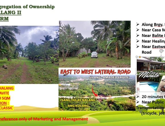 For Sale  203 sqm Residential Farm lots  in Silang Cavite