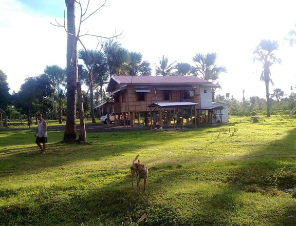 1 Hectare Well-Maintained Farm Lot in Sariaya, Quezon For Sale