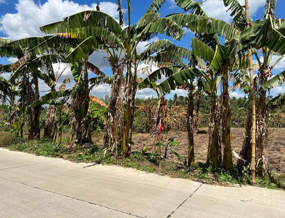 500sqm BEST INVESTMENT FARM LOT FOR SALE IN MAGALLANES CAVITE