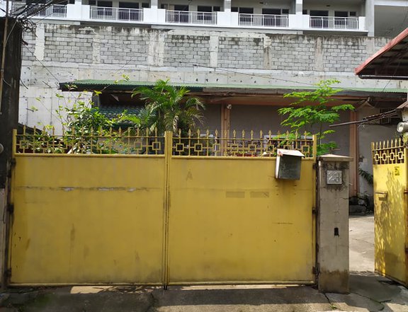 250 sqm Residential Lot For Sale By Owner in Pasig City