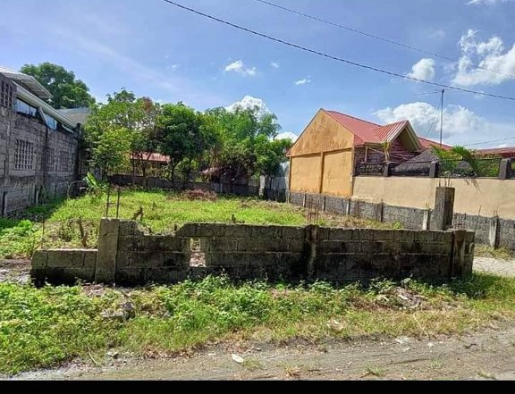 485 sqm Residential Lot For Sale By Owner in Villasis Pangasinan
