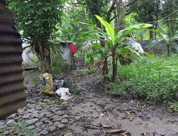 1840 sqm Residential Farm For Sale By Owner in Tanay Rizal