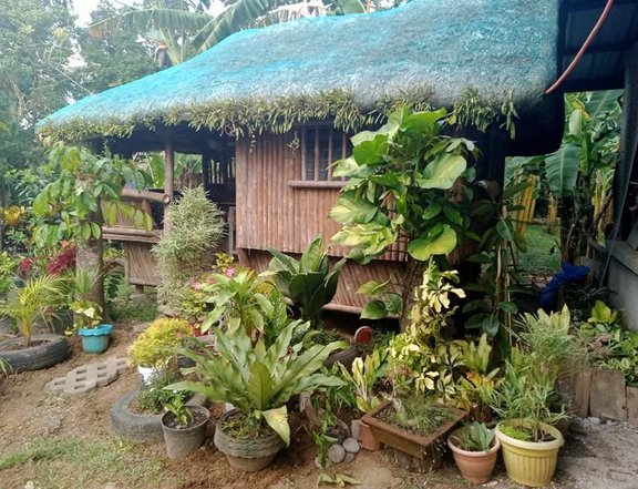 1000sqm RESIDENTIAL FARM LOT W/ BUNGALOW HOUSE FOR SALE INDANG