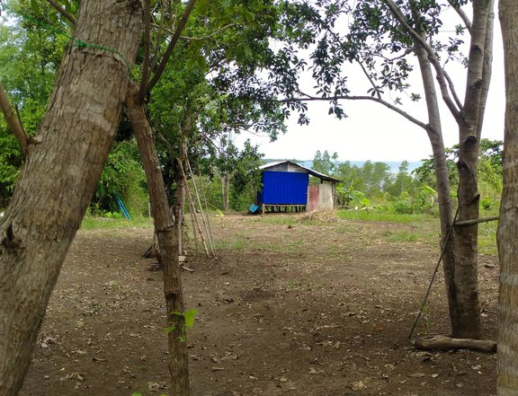 3465 sqm Residential Lot For Sale By Owner in Puerto Princesa Palawan