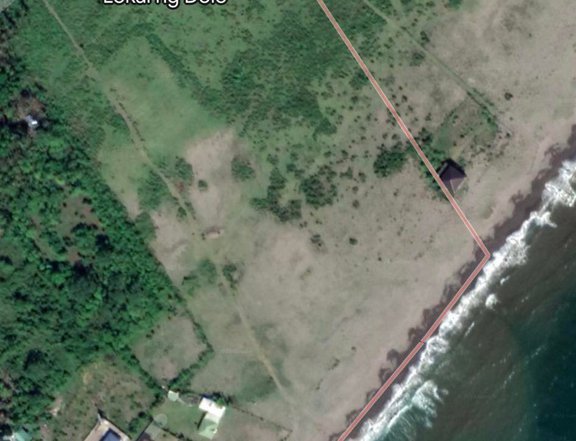 21770 sqm Beach Property For Sale in Dolo, San Jose Camarines Sur