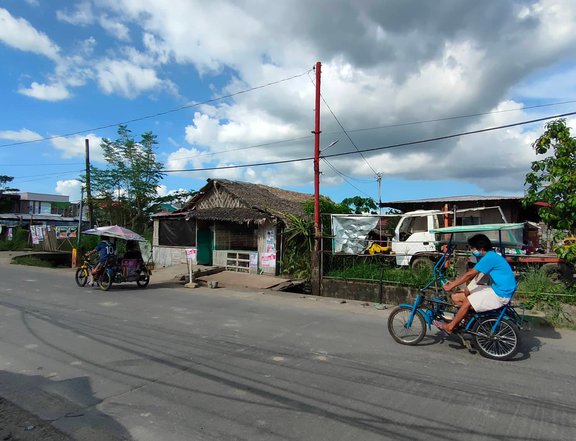 3610 sqm Commercial Lot For Sale in Calabanga Camarines Sur