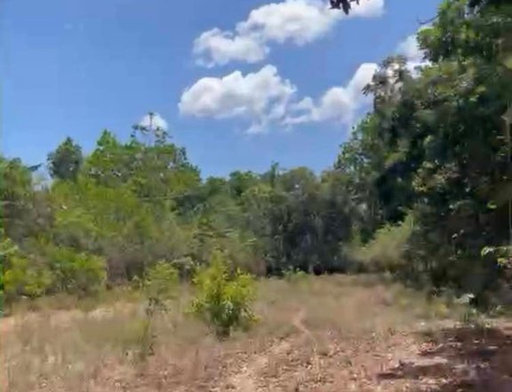 Ibaan Batangas Farm Lot for Sale