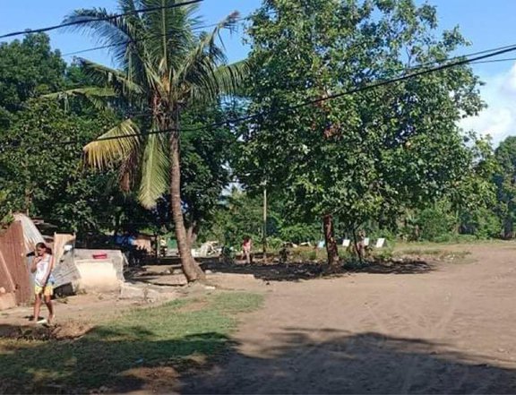 16000 sqm Residential Lot For Sale By Owner in Tanauan Batangas