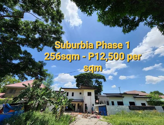 256 sqm Residential Lot For Sale in San Fernando Pampanga