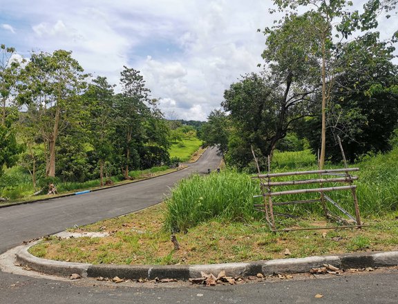 RESIDENTIAL LOT FOR SALE IN FAIRMOUNT HILLS IN ANTIPOLO CITY