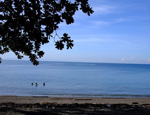 4,669 sqm Beach Resort Property For Sale in Samal Island Davao