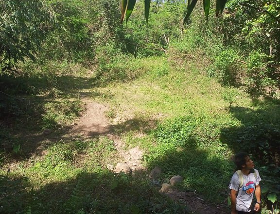 100000 sqm Residential Farm For Sale By Owner in Tanay Rizal