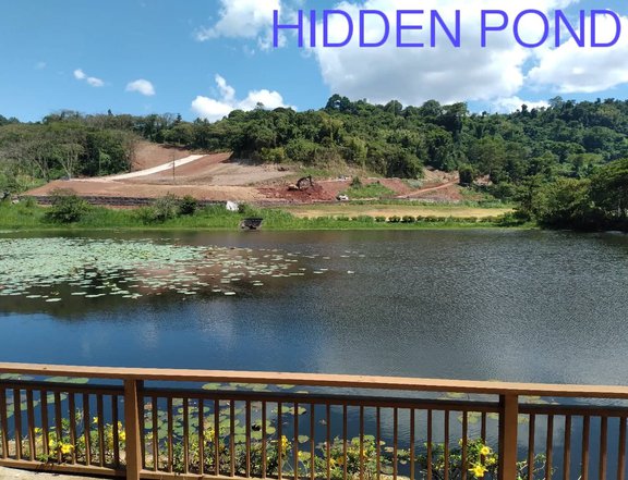 Residential lots with stunning views at Sun Valley Estates, Antipolo!