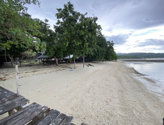 1 hectare Developed Beach Property For Sale in Samal Island, Davao
