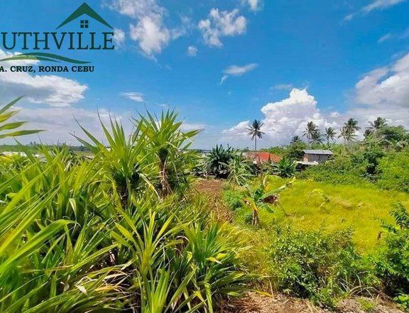 5 Year to pay 150 sqm Residential Lot For Sale in Ronda Cebu