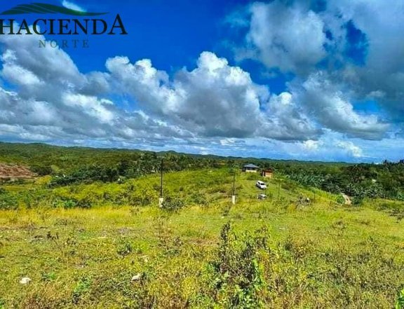 5 years to pay 1000 sqm Residential Farm For Sale in Tabuelan Cebu