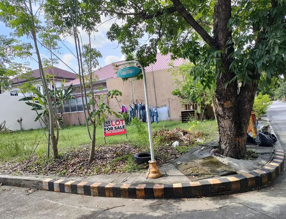 265 sqm Residential Lot For Sale in San Fernando Pampanga
