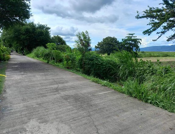 6 Hectare Residential Farm For Sale By Owner in Lumban Laguna