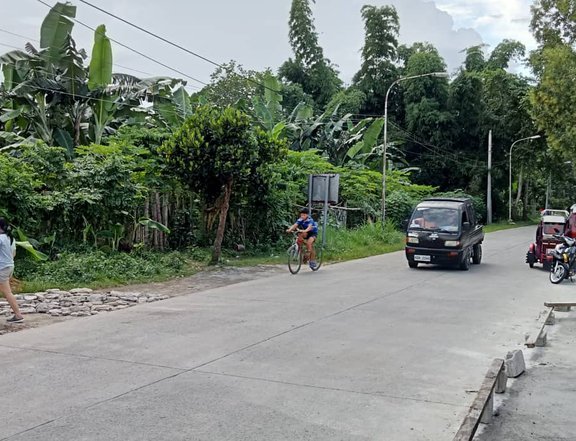 966sqm. Lot for Sale Good For Commercial Along Main Road Indang Cavite