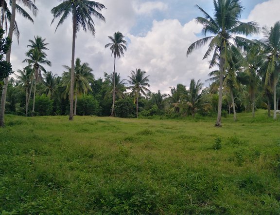 4500SQM Titled Land for sale near Tagaytay at Calaca city Batangas