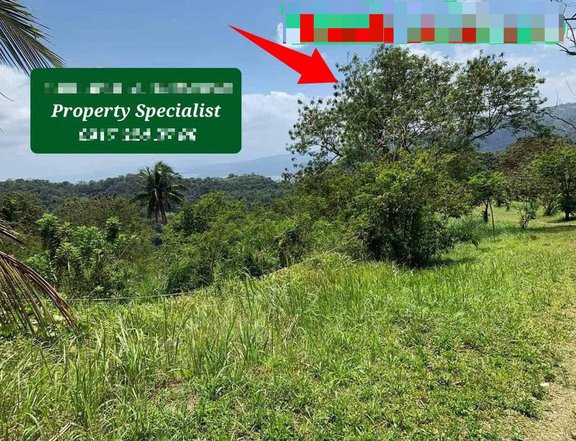 BIGGER LOT FOR SALE WITH TAAL VIEW @ TAGAYTAY CITY