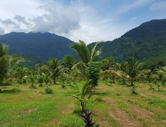 8.7 hectares, Agricultural Farm Lot - Naujan, Orriental Mindoro