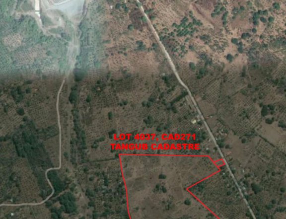 23.28 hectares Agricultural Land For Sale in Tangub Misamis Occidental