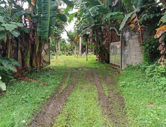 Affordable Residential Lot for Sale in San Pablo Laguna