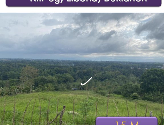 2 hectares Raw Land For Sale in Kili-og Libona Bukidnon