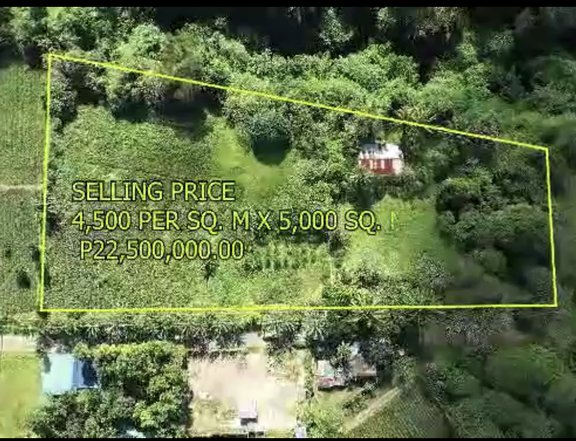 Farm lot in Alfonso Cavite 5000 sqm. With existing fruit bearing