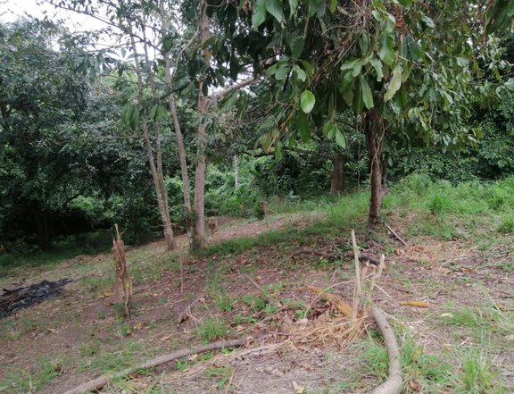 1 ,000 sqm Farm Lot For Sale in General Mariano Alvarez Cavite