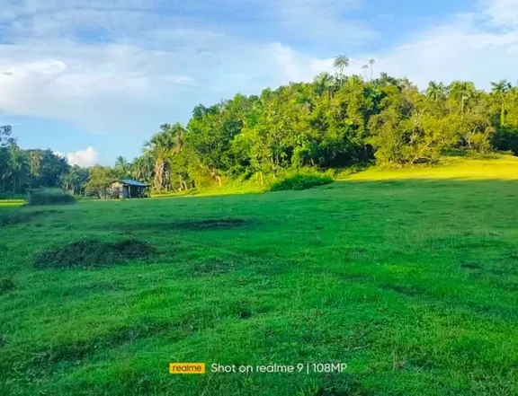 3.9 hectares  residential farm lot for sale near Mirror of the World