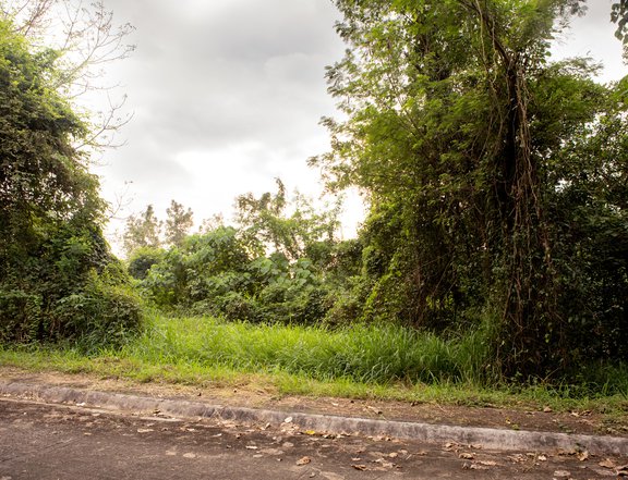 496 sqm Residential Lot For Sale in Parkridge Estate in Valley Golf Antipolo Rizal