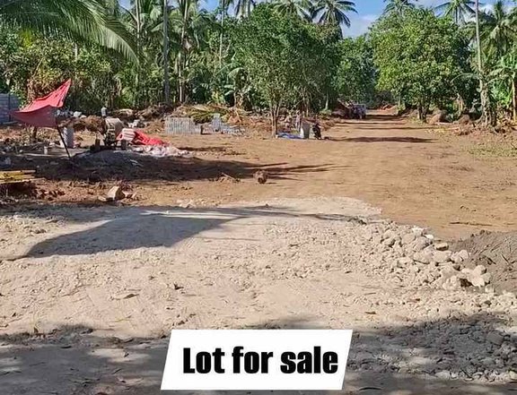 300 sqm Residential Farm Lots For Sale in General Emilio Aguinaldo Bailen  Cavite