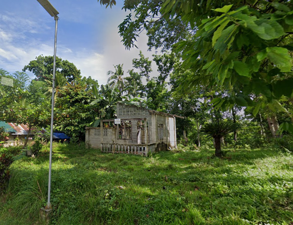 TITLED LOT FOR SALE in LUNGSODAAN, CANDIJAY, Bohol