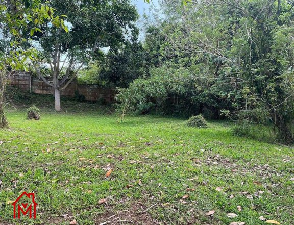 750 sqm Farm Lot For Sale in Silang Cavite