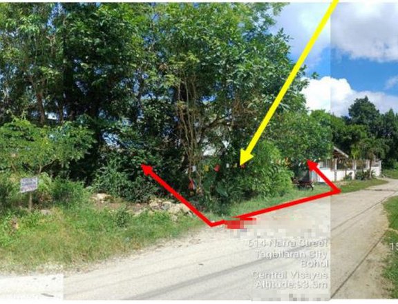 Foreclosed 280 sqm Residential Lot For Sale in Tagbilaran Bohol - UPTOWN SUBDIVISION,